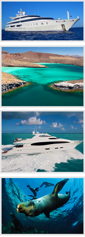 La Paz Yacht Charters, La Paz Luxury Yachts, La Paz Yacht Rentals, La Paz Boat Rental, La Paz Yacht Hire, La Paz Charters, La Paz Party Boats,